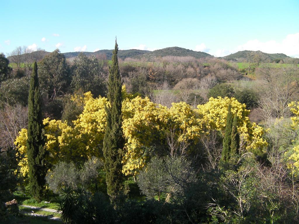 Bed and Breakfast Casale Del Tiglio Черветере Номер фото